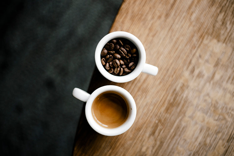Everything You Ever Wanted to Know About Specialty Coffee