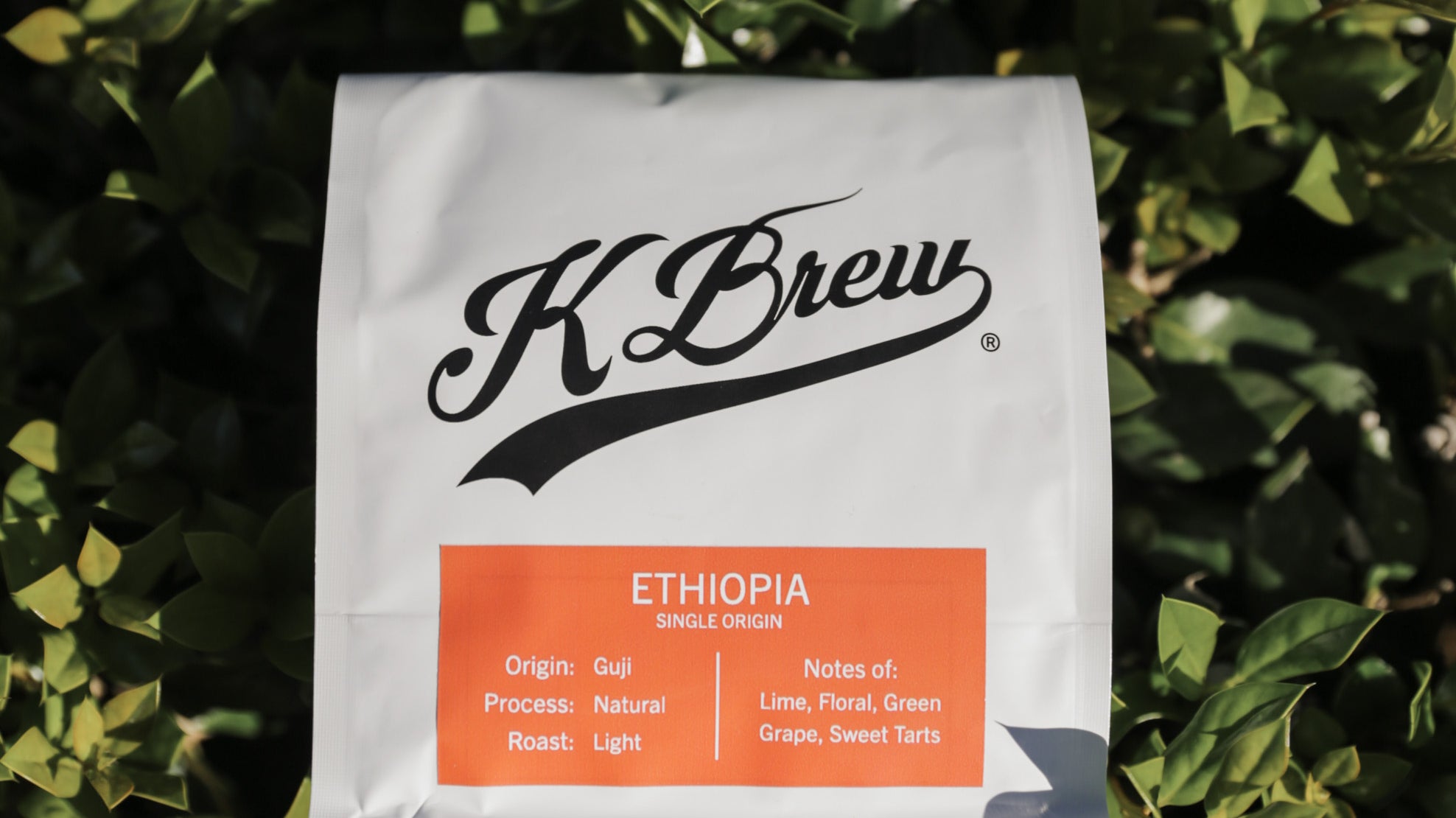 Single Origin vs. Blends