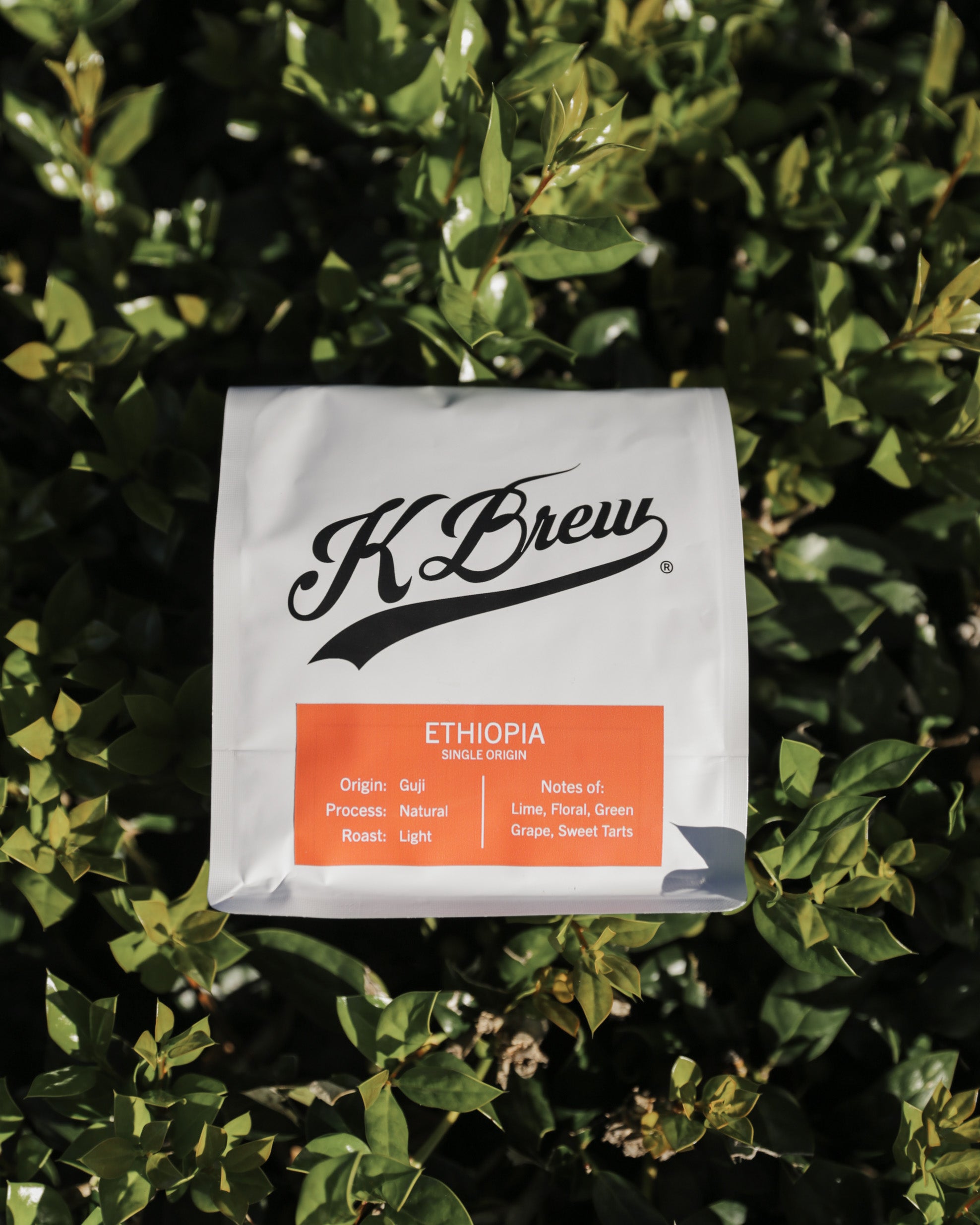 Single Origin vs. Blends