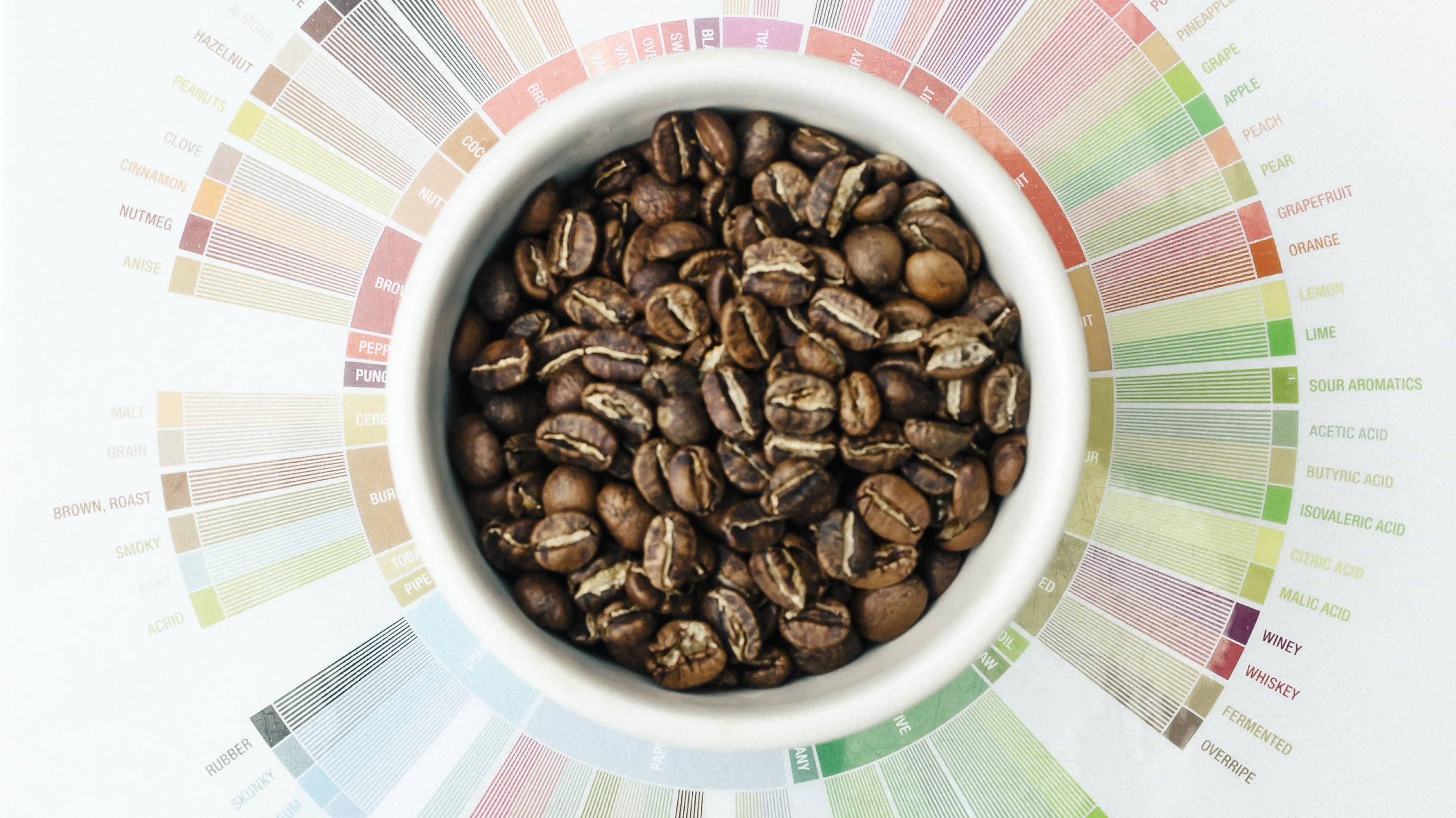 Cupping Coffee at Home