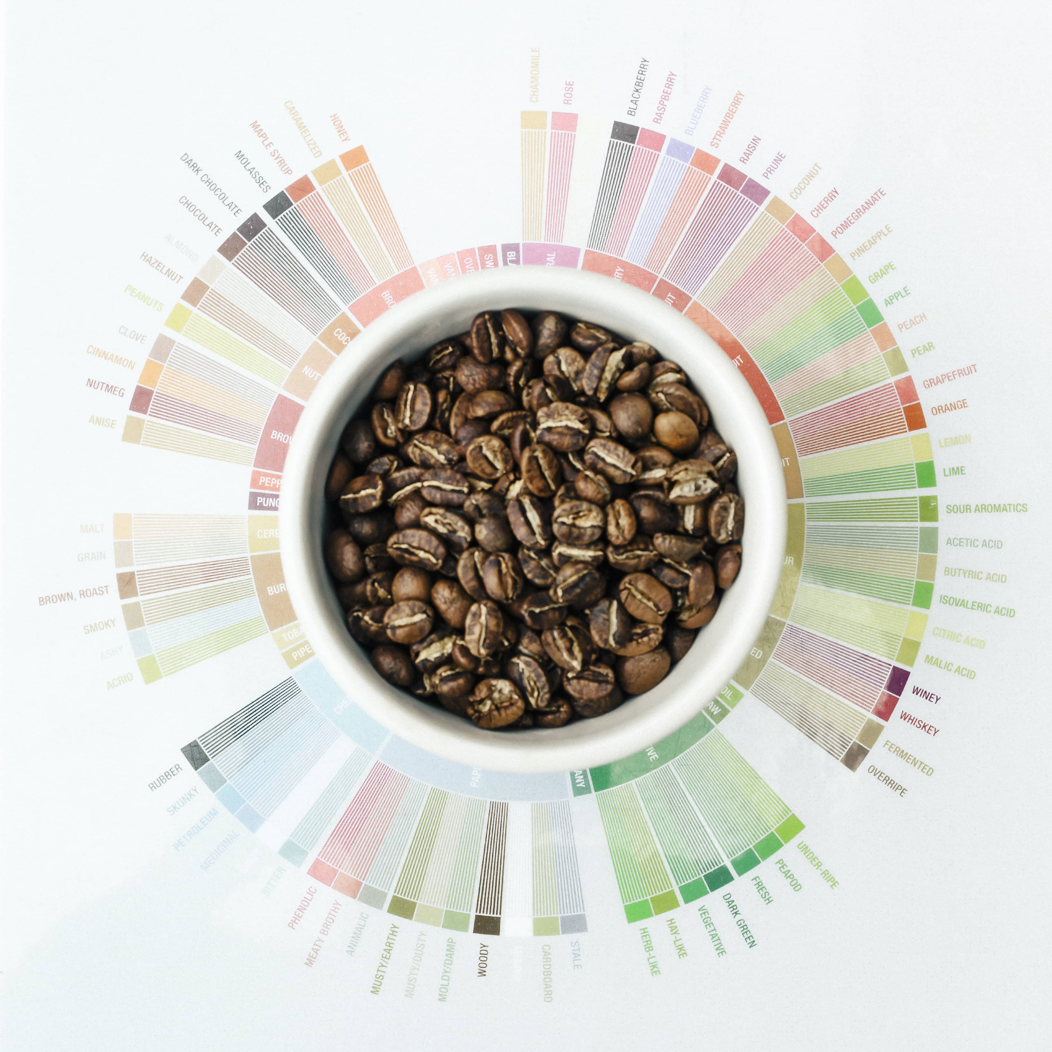 Cupping Coffee at Home