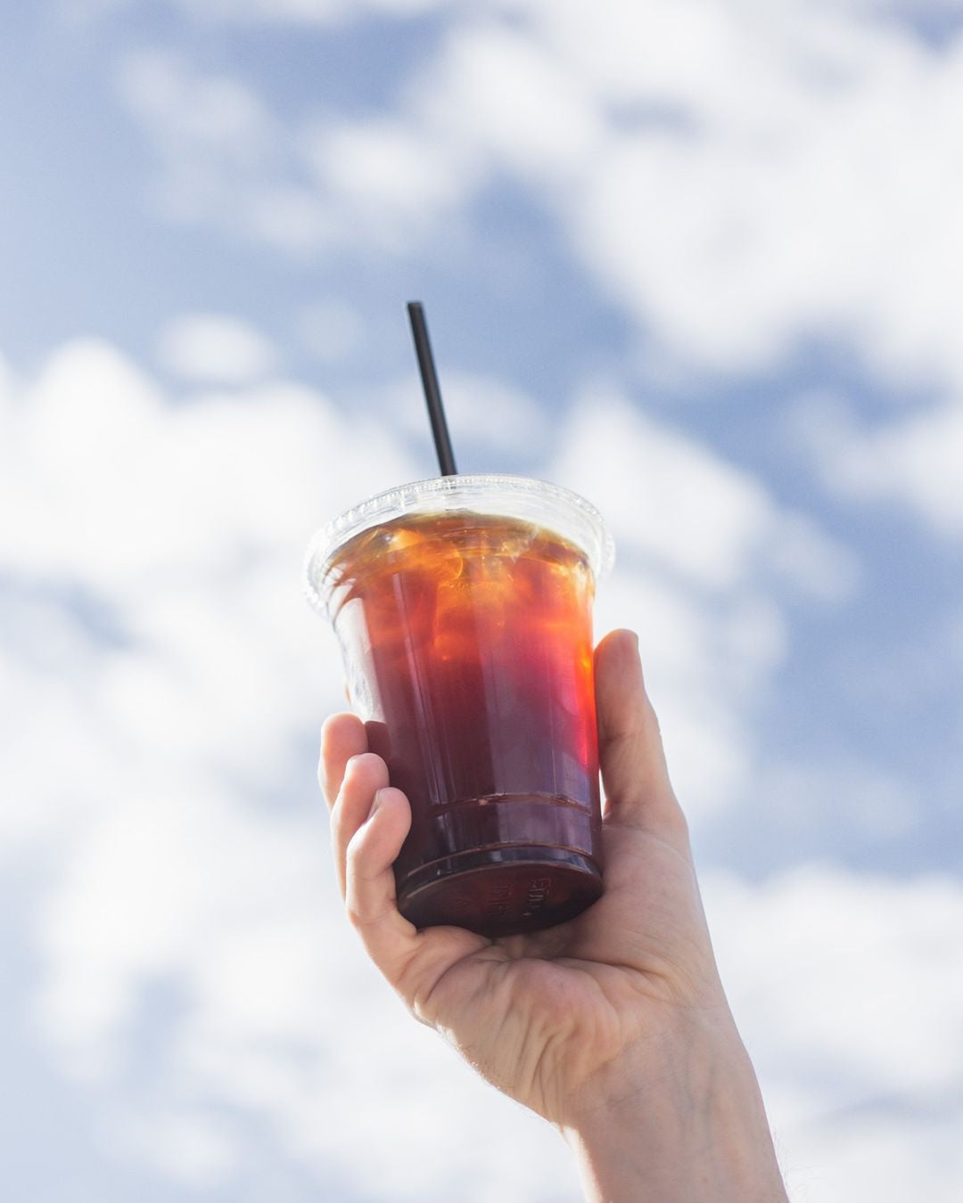 Cold Brew vs. Iced Americanos